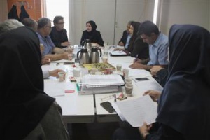 جلسه گروه تخصصی معماری شورای مرکزی برگزارشد